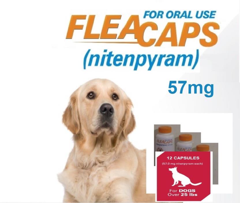 12 LR Equal To Capaction Same Ingredient Flea Treatment Remedy 2 FREE OFFER!