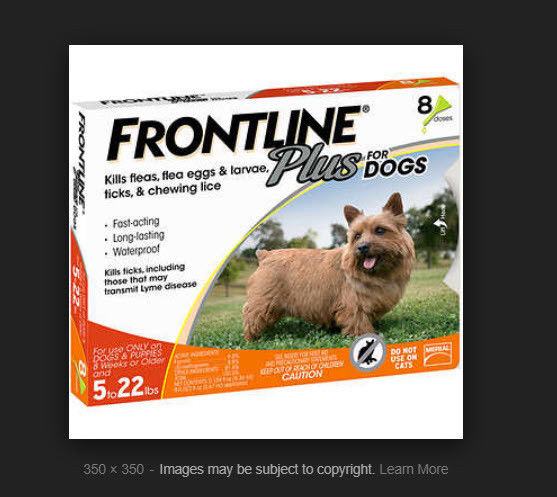 8 Doses FRONTLINE Plus Flea and Tick Control for 5-22lbs Dogs