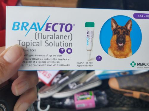 bravecto for dogs large dog
