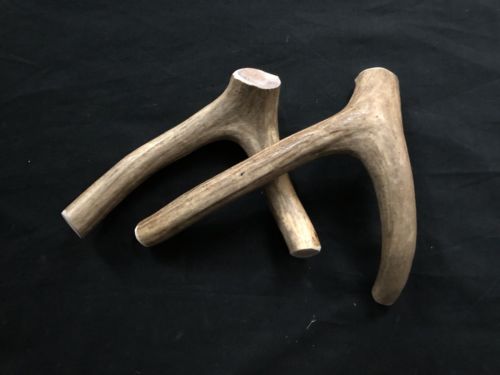 2 Extra Large Multi-Forked Deer Antler Dog Chew -Free Shipping!!!