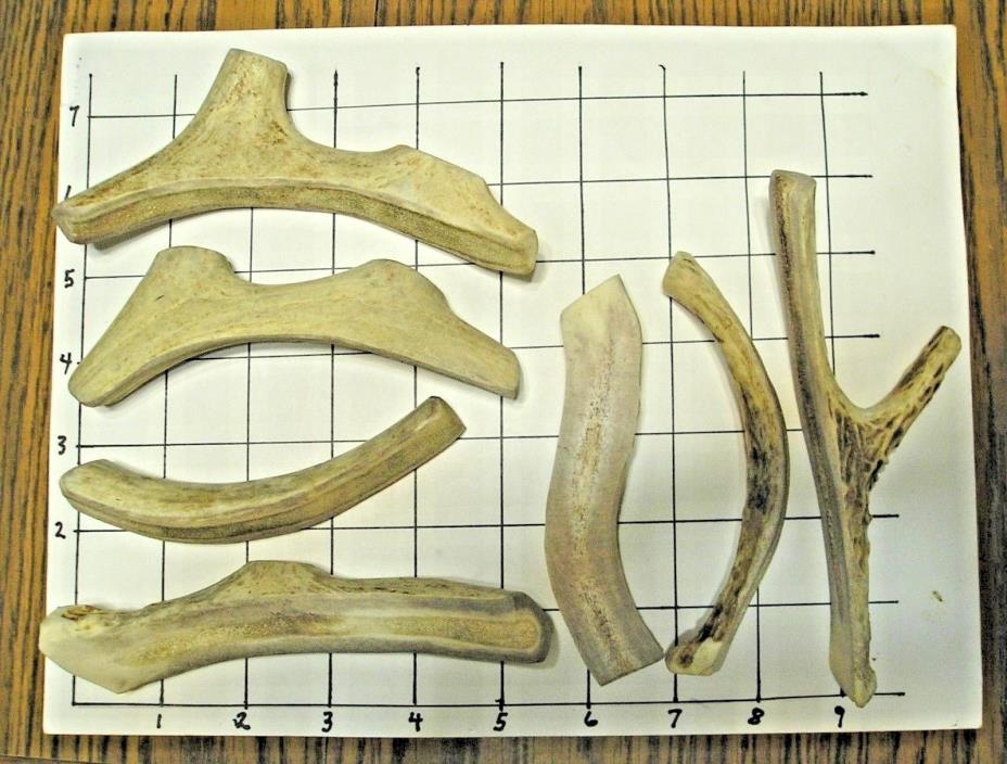 7 Split Deer Antlers Dog Chew Treats -  0.75 #