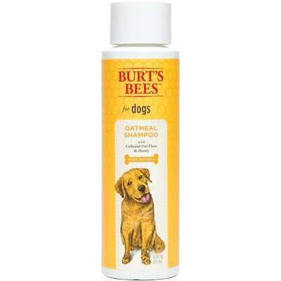 Burt's Bees Dog Shampoo 16oz Oatmeal 742797772103