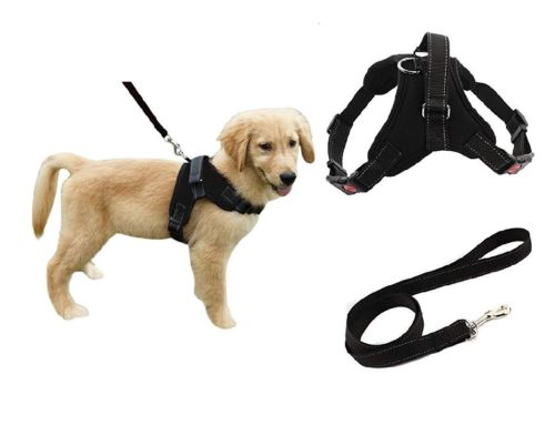 Heavy Duty Adjustable Pet Puppy Dog Safety Harness with Leash Reflective SMALL