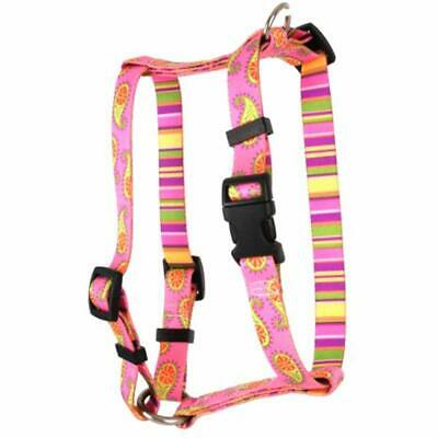 Yellow Dog Design Pink Paisley Roman Style H Harness, Large-1