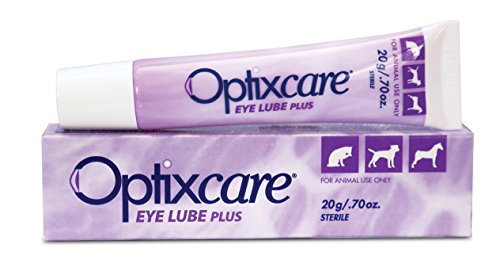 Optixcare Eye Lube Plus, 20gm