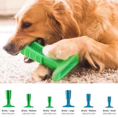 Dog Toothbrush Toy Bristly Brushing Stick Pet Molars Toothbrush for Dogs Dental