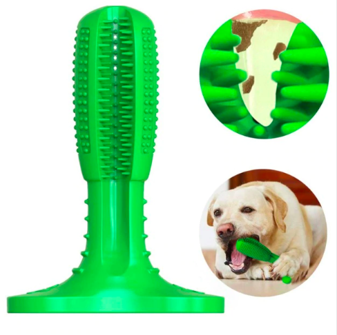 Dog Toothbrush Tooth