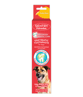 Sentry Petrodex Toothpaste for Dogs