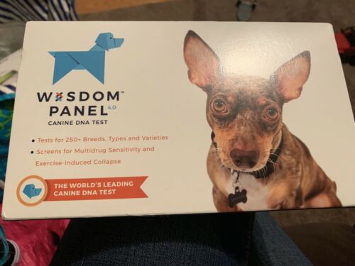 Wisdom Panel Canine DNA Test 4.0