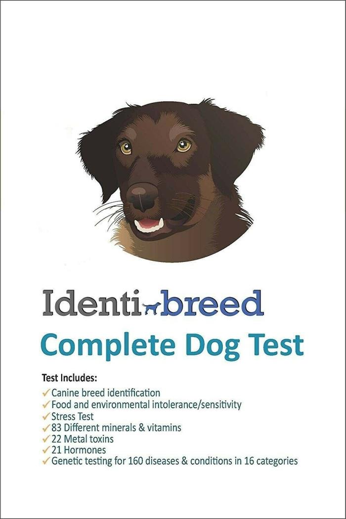 Canine DNA Test by identibreed