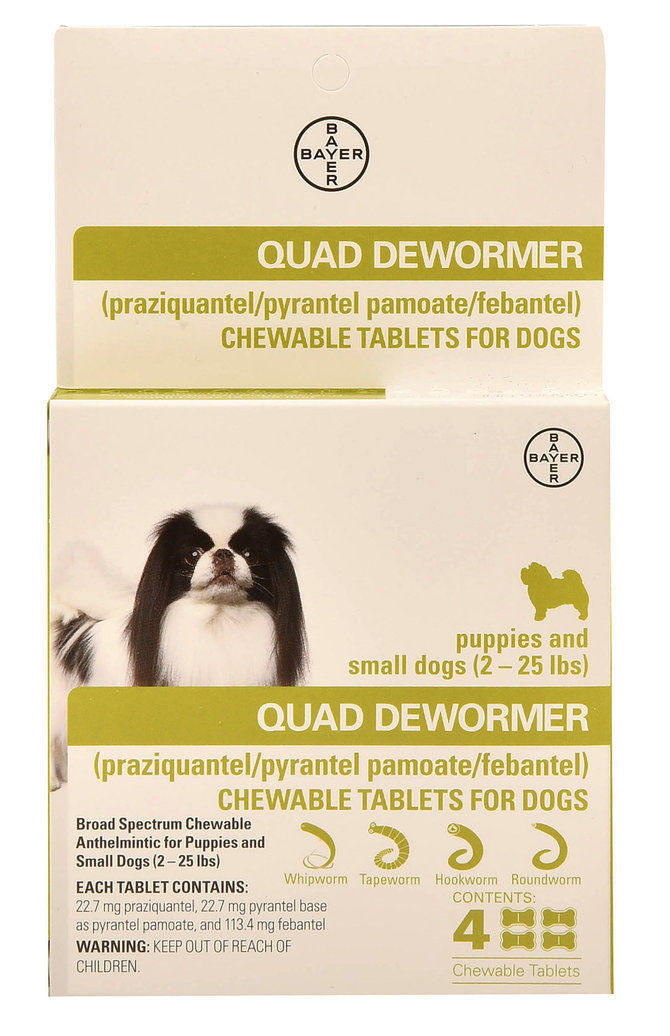 Bayer Expert Care Quad Dewormer Broad Spectrum Chewables Small Dog 2-25lbs