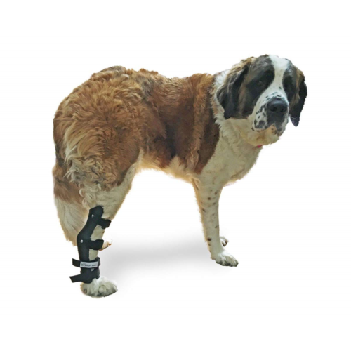 Walkin' Pet Splint for Dogs, Canine Hock Style Leg Splint with Foam Inserts for