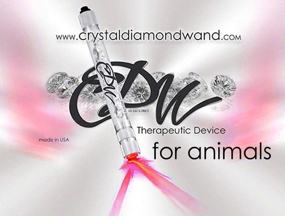 Cold Laser for Pets __ by Crystal Diamond Wand