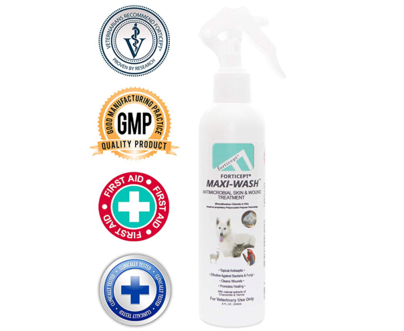 Forticept Maxi-Wash Antiseptic Spray for Hot Spots, Itch, Pyoderma, Wounds, Burn