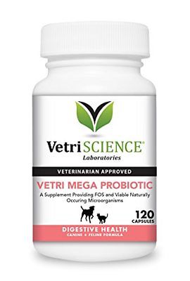 VetriScience Laboratories - Vetri Mega Probiotic, Digestive Support with and for