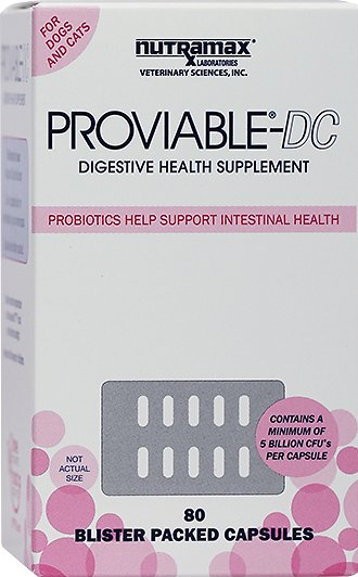 Nutramax Proviable DC Capsules Dog Cat Supplement 80 Count Free Shipping