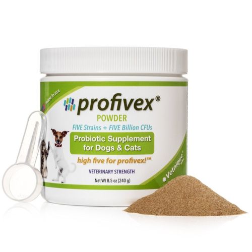 Pet Premium Beneficial Probiotic Powder Spoon