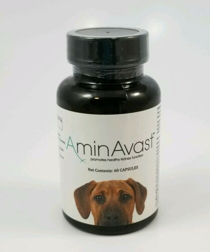AminAvast | Promotes Healthy Kidney function | Dogs 60+lb | 1000mg x 60 Capsules