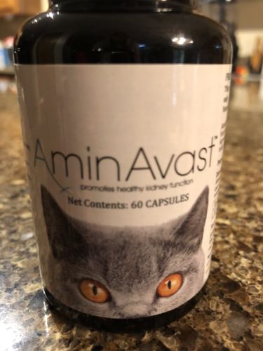 AminAvast 60 Capsules Promotes kidney function In cats & dogs Expires 10/18