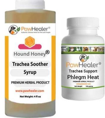 Trachea Soother Syrup Bundle with Trachea Support: Phlegm Heat