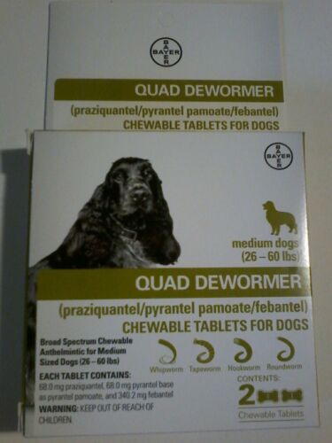 Bayer Expert Care Quad Dewormer Medium Dog Broad Spectrum Chewable