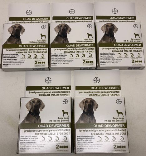 Bayer Quad Dewormer for Large Dogs 45lbs and Over 10 Chewable Tablets NEW