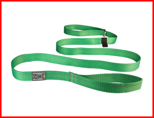 Primary Collection Dog Slip Lead