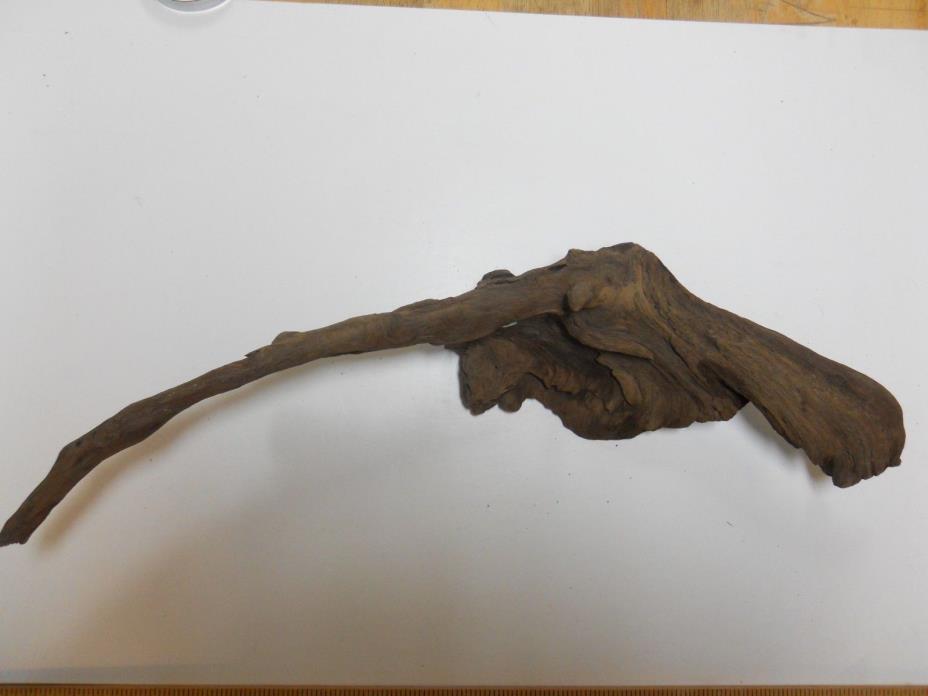 Unique Driftwood Root 22