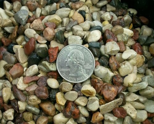 Natural Beauty 30 lbs Aquarium Fish Tank Gravel, small 3/8 In Pebble color rocks