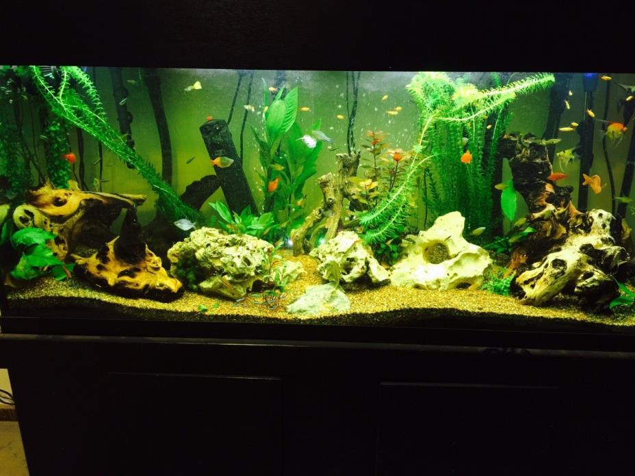 Marineland 120 Gallon X-high Fish Tank - Coral Life Lighting System
