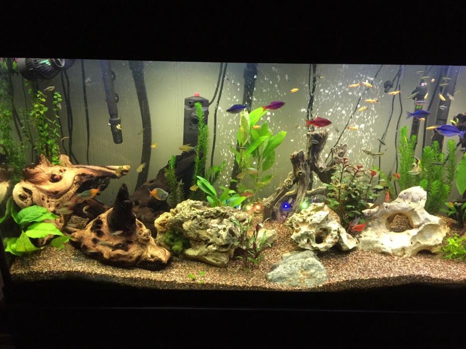 Marineland 120 Gallon X-High Fish Tank - Fluval Lighting System