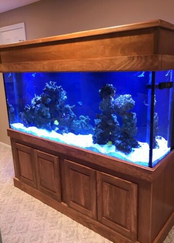 220 Gallon Saltwater Fish Tank System