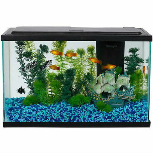 Aqua Culture Aquarium Fish Tank Starter Kit Tetra Internal Filter LED 5-Gallon