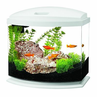 Aqueon LED Mini Bow Aquarium Kit