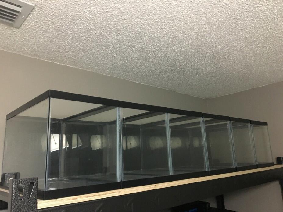 6 fish tanks 10 gallon/each Painted side and bottom