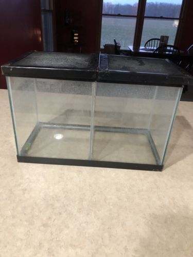 10 Gallon Acrylic Terraium With Built In Divider