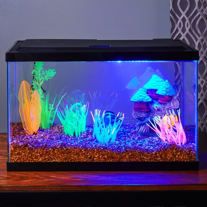 10-Gallon Glass Aquarium Fish Tank Clear Terrarium Silicone Glass Pet Fish