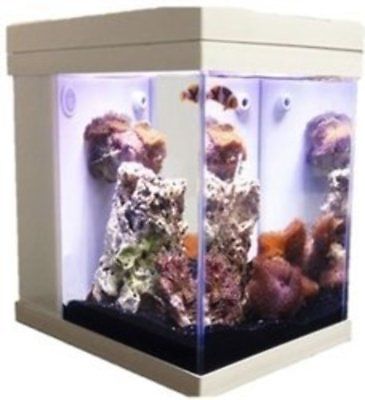JBJ White Mini Cubey Deluxe LED Series 3 Gallon Aquarium