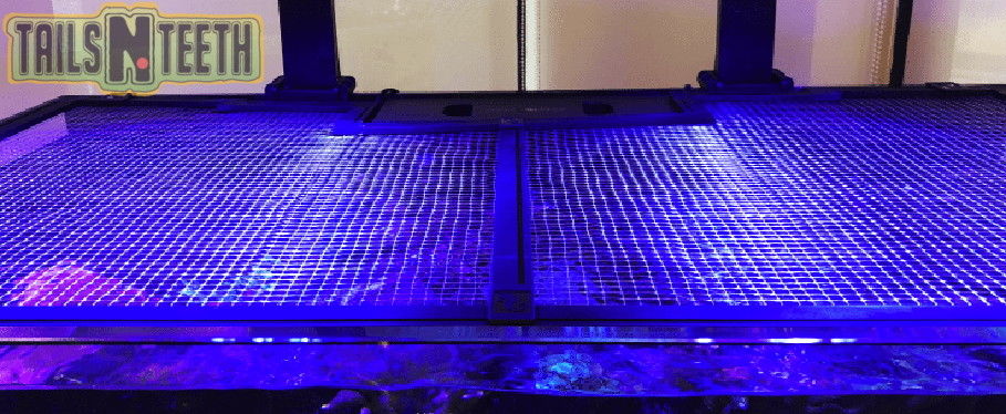 RED SEA Customizable DIY Aquarium Net Cover - Cut Out Parts Incl. 24