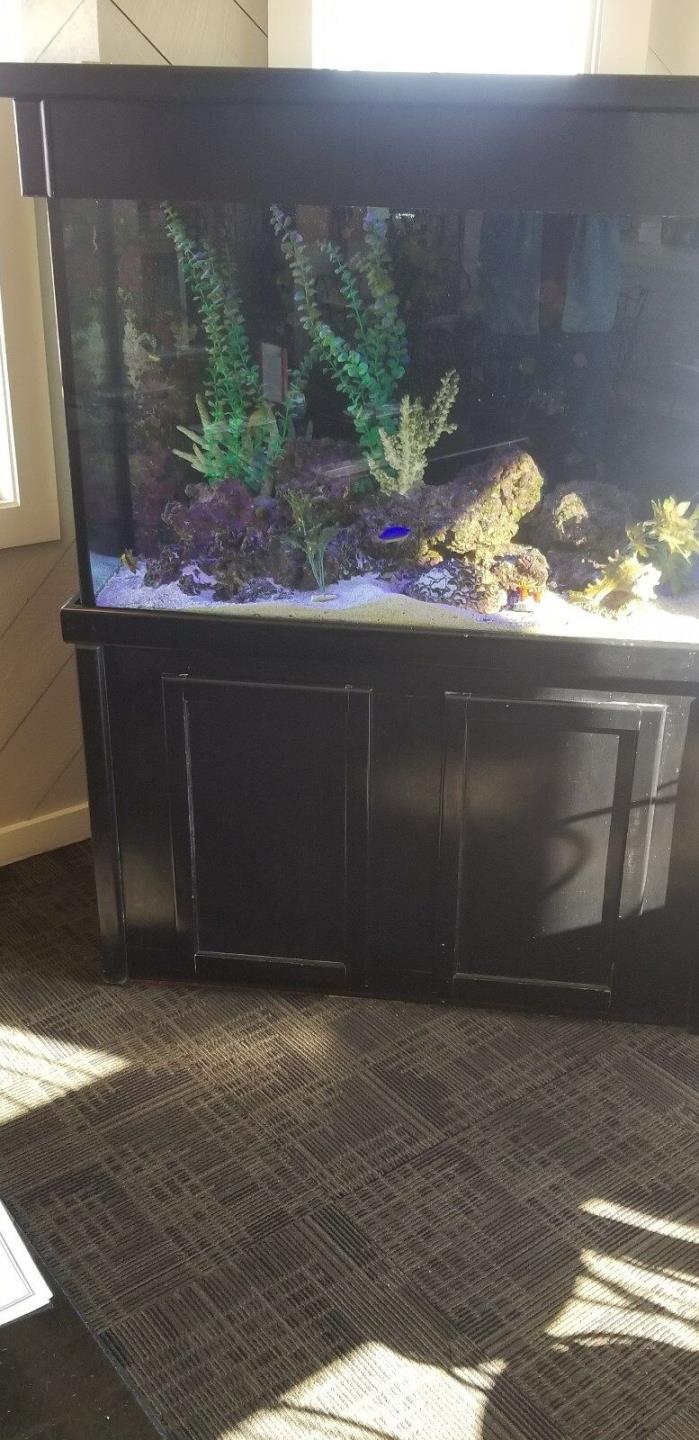 150 GALLON SALTWATER AQUARIUM