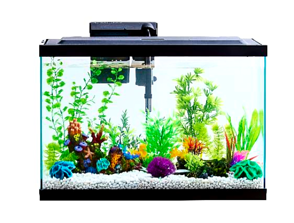 29 Gallon Aquarium Kit Set Fish Tank Led Light Hood Filter Fresh Clear Water New