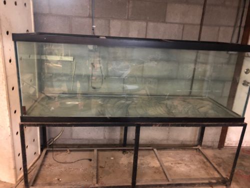 200 Gallon Fish Tank Used