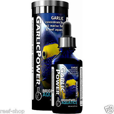 Brightwell Garlic Power 125mL Coral Nutrition Supplement Free USA Shipping