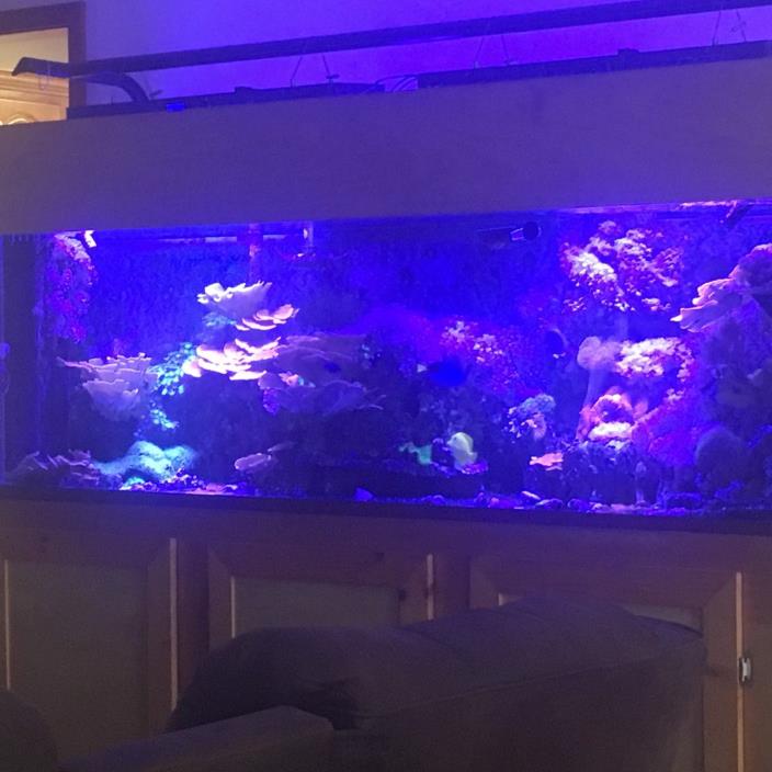 2 Reef Breeders 240W 99 LEDs Aquarium Light Dimable Blue & White with Remotes