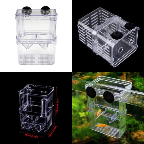 Plastic Fish Isolation Box Multi Functional Breeding Hatchery Incubator