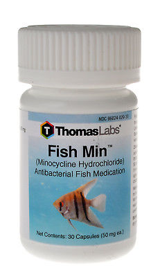 Thomas Labs Fish Min Minocycline Hyclate