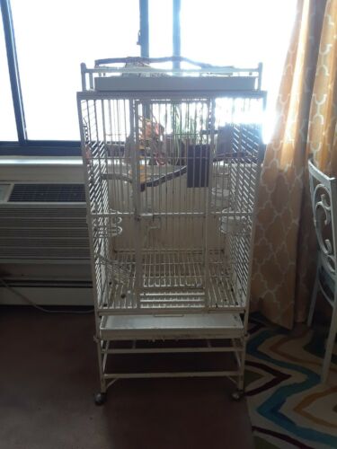 Iron Bird Cage with Large Play Top - White
