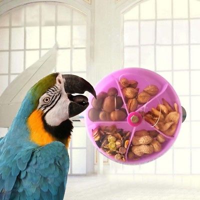 Pet Bird Feeder Parrot Bite Toy Wheel Foraging Case Puzzle Food Feed Dispenser
