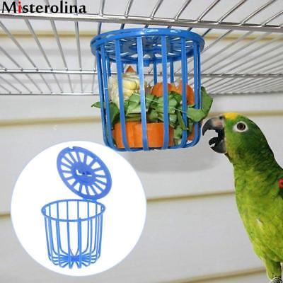 Hanging Basket  Bird Feeder for Fruit and Vegetables