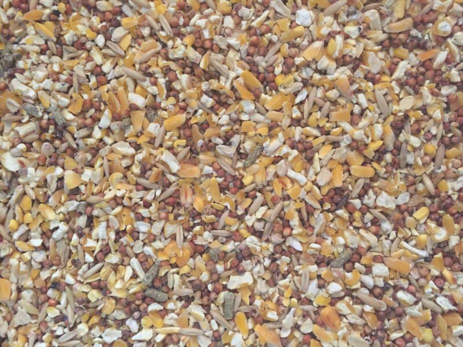 Country Roads All Purpose Seed Mix Wild Bird Food 12lb